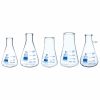 GLASSWARE SET, ERLENMEYER (CONICAL) Set of 5