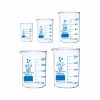 GLASSWARE SET, BEAKER, LOW FORM Set of 5
